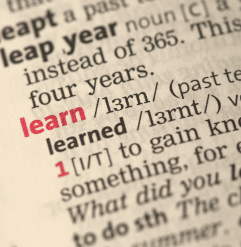 Ubidictionary Deda Next funzionalità