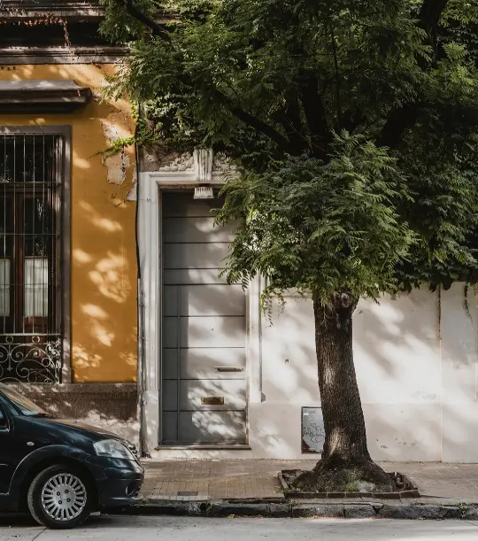Città italiana e albero.
